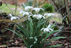 Entrance to Felts Preserve